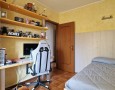 Pegasus - 