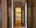 Pegasus - 