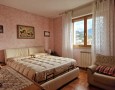 Pegasus - 