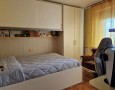Pegasus - 