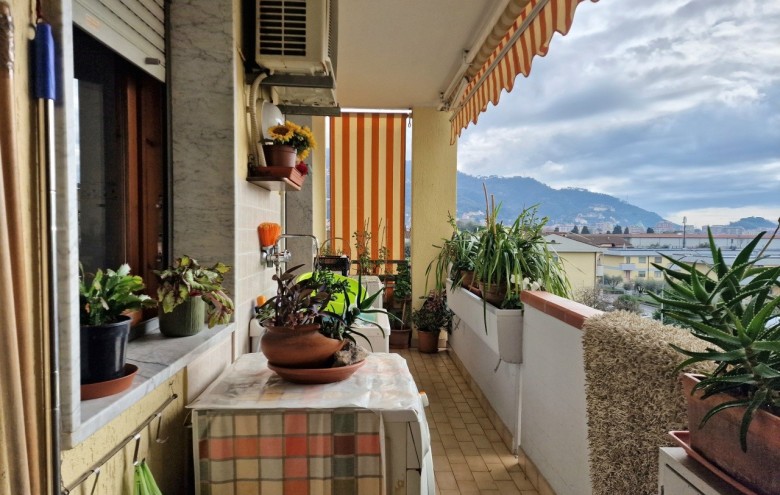 Agenzia Pegasus - 
