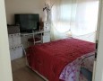 Pegasus - 