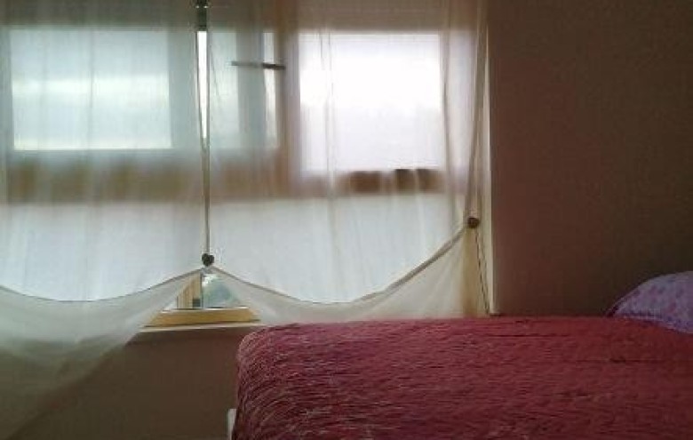 Agenzia Pegasus - 
