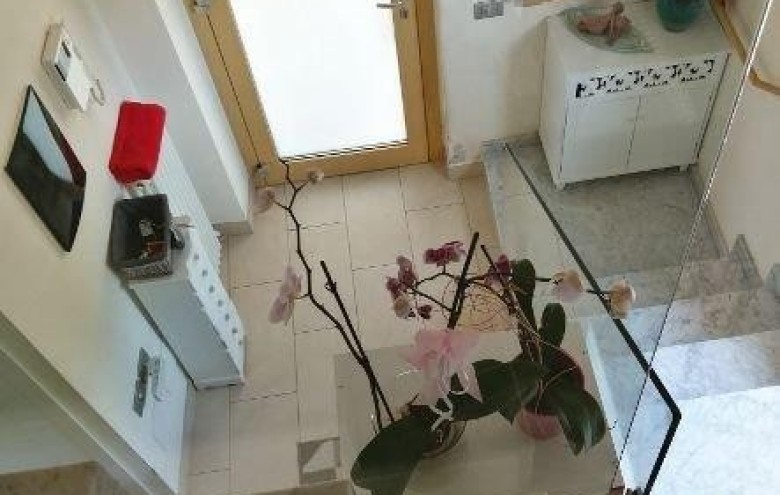 Agenzia Pegasus - 