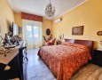 Pegasus - 