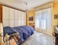 Pegasus - 