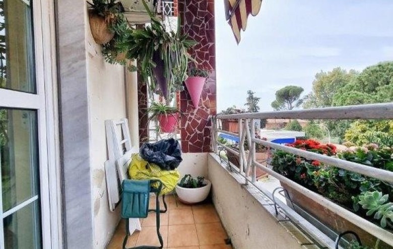 Agenzia Pegasus - 