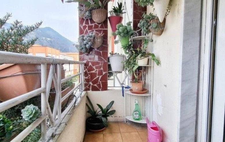 Agenzia Pegasus - 