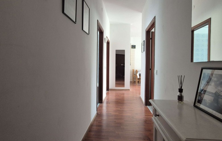 Agenzia Pegasus - 