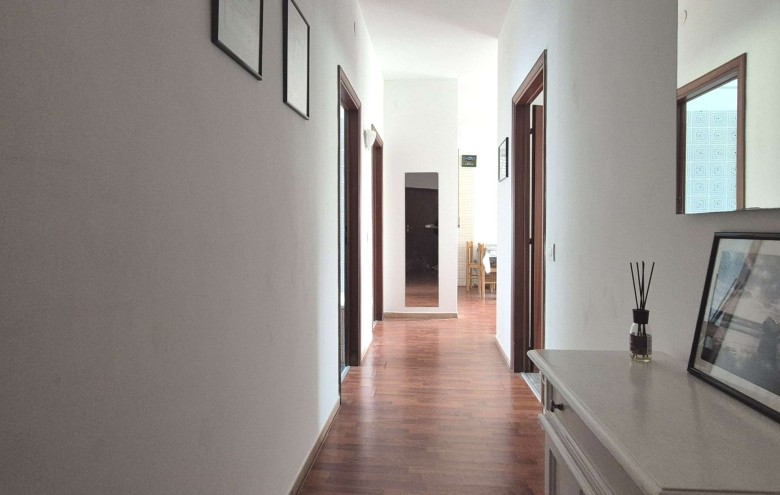 Agenzia Pegasus - 