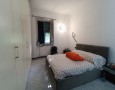 Pegasus - 