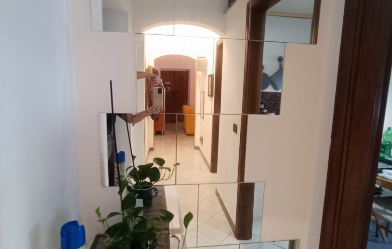 Agenzia Pegasus - 