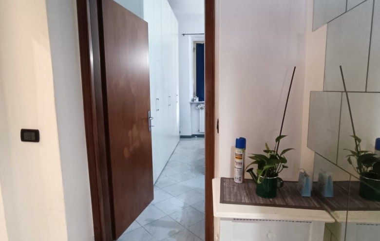 Agenzia Pegasus - 
