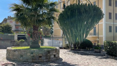 Appartamentoin Affitto, Bordighera - Centrale - Riferimento: a336