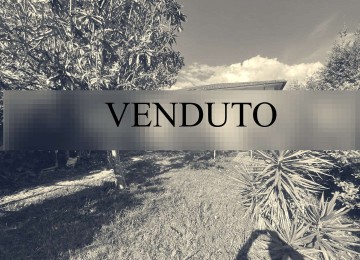 Viareggina libera su quattro l