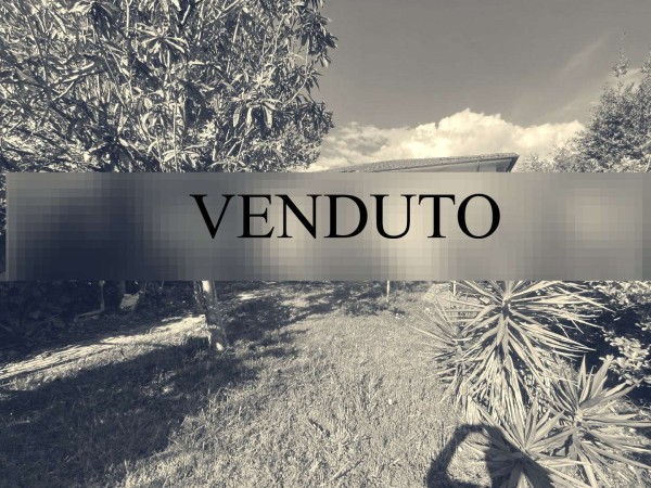 Viareggina libera su quattro l