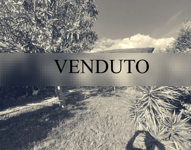 Viareggina libera su quattro l