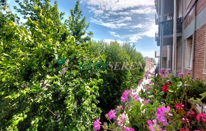 Agenzia Giansereni - 