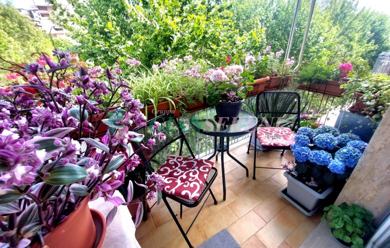Agenzia Giansereni - 