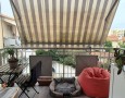 Pegasus - 
