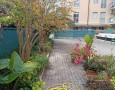Pegasus - 