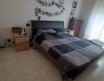 Pegasus - 