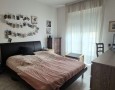 Pegasus - 