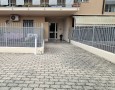 Pegasus - 