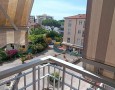 Pegasus - 