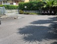 Pegasus - 