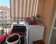 Pegasus - 