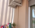Pegasus - 