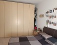 Pegasus - 