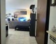 Pegasus - 