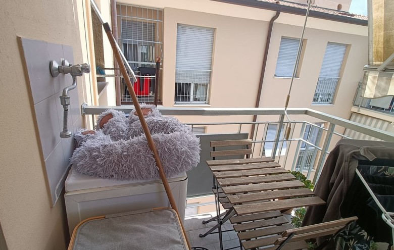 Agenzia Pegasus - 