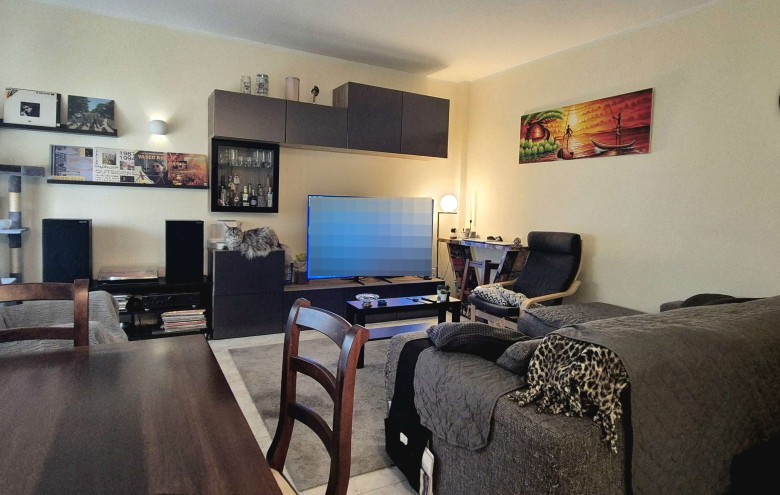 Agenzia Pegasus - 