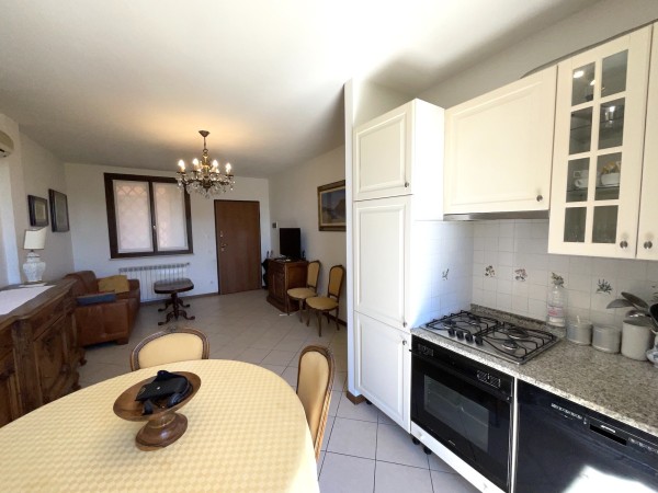 Riferimento SA2 - apartment in Летняя аренда in Pietrasanta - Marina Di Pietrasanta
