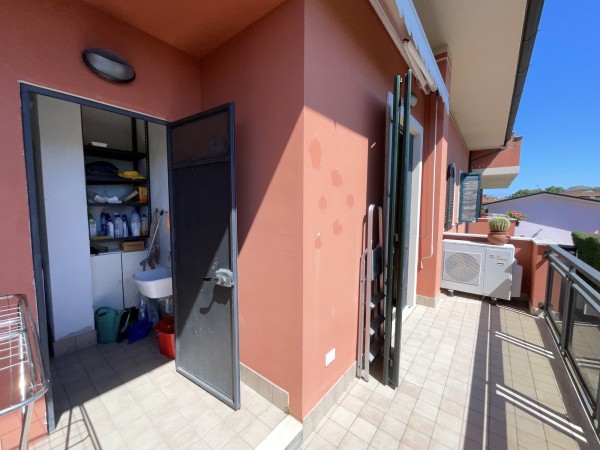 Riferimento SA2 - apartment in Летняя аренда in Pietrasanta - Marina Di Pietrasanta