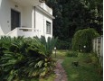 Pegasus - 