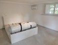 Pegasus - 