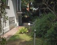 Pegasus - 