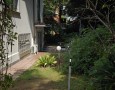 Pegasus - 