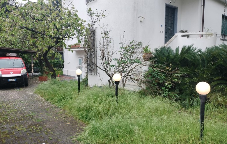 Agenzia Pegasus - 