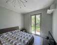 Pegasus - 