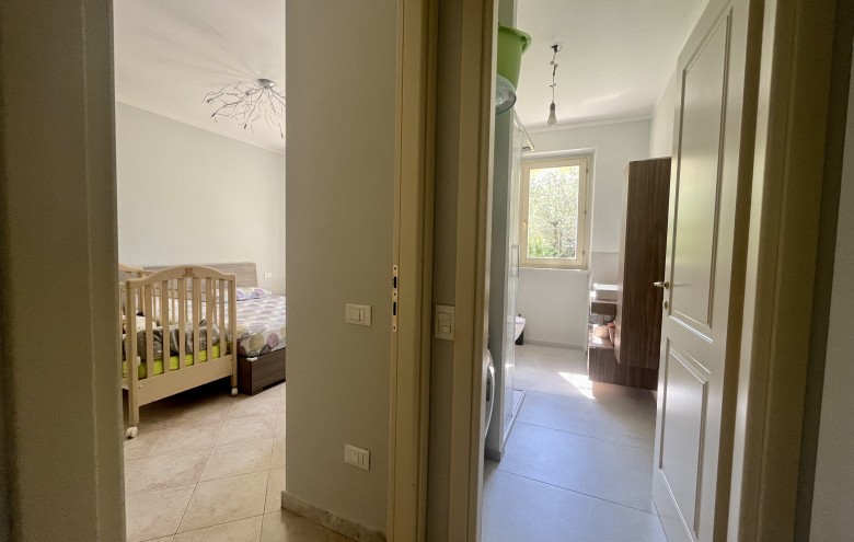 Agenzia Pegasus - 