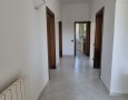 Pegasus - 