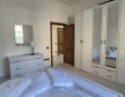 Pegasus - 
