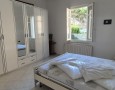 Pegasus - 