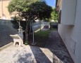 Pegasus - 