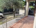 Pegasus - 